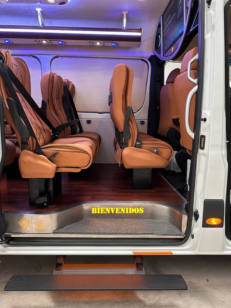 Estribo eléctrico vip abatible